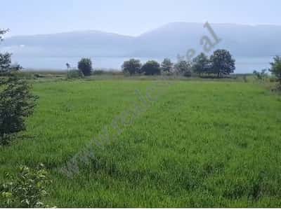 Land for sale near Ohri Lake in Pogradec, Albania