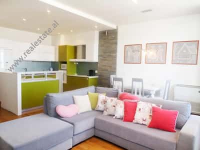 Duplex apartment for sale in Rrapo Hekali street in Tirana, Albania (TRS-1117-17d)