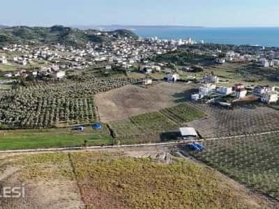 Shitet toke ne Arapj , prane Plepave , Plazh Durres , Golem , Mali i Robit , Shkembi i Kavajes .