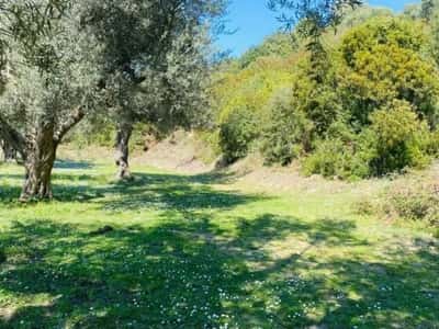 Sarande, shitet toke ne bregdet , 1.000 m² 132.000 € (Lukove)