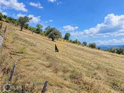 SHITET TOKE ARE 5.300 M2 NE KODER KASHAR 640.000 EURO