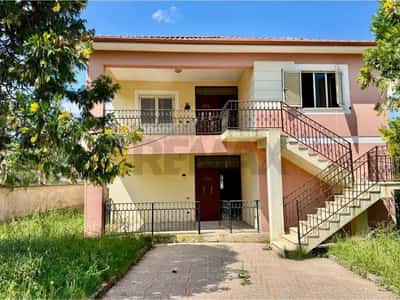 Pezë Helmës, Tiranë
