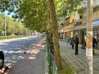 Bulevardi Gjergj Fishta, Tiranë