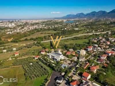 SHITET TRUALL 1.000 M2 ME NJOLLE TE VERDHE NE FARKE 155.000 EURO