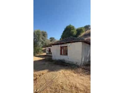 0696044407 Shitet, Shtepi Private, Shijak