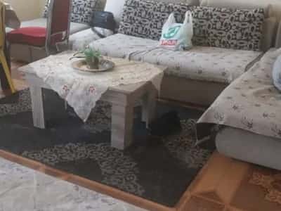 Tirane, jepet me qera apartament 1+1 Kati 3, 65 m² 320 € (Porcelan, pranë Universitetit UET)