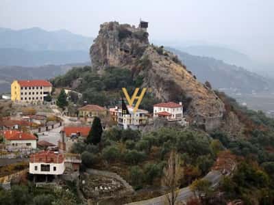 SHITET TOKE 2.200 M2 NE PETRELE 13.000.000 LEKE