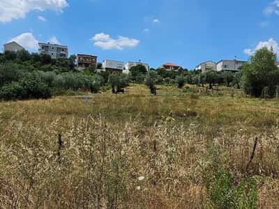 Lundër, Tiranë