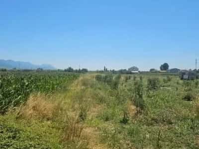 Lezhe, shitet toke , 2075m² 27000 € (Adresa Rrile Lezhe)