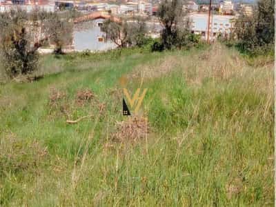 SHITET TOKE ULLISHTE 1.500 M2 NE KASHAR 165.000 EURO