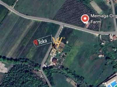 SHITET TOKE 10.000M2 NE PETRELE 700.000 EURO