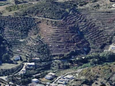🌿✨ Super Ofertë Investimi në Durrës – Tokë me Potencial të