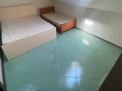 🏠 Jepet Apartament 2+1 me Qera mbi Fushën e Ali Demit, Tiranë