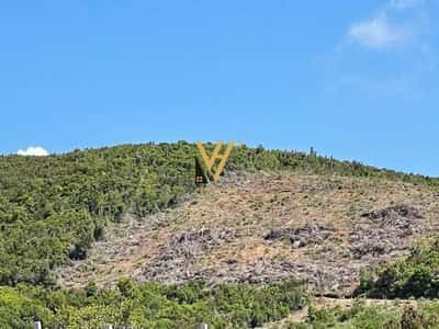 SHITET TOKE 5000 M2 NE SPILLE 200.000 EURO