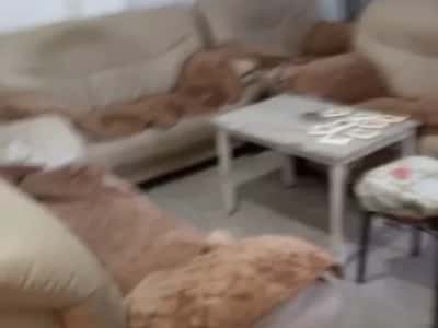 Tirane, jepet me qera shtepi 2+1 Kati 1, 100 m² 260 € (Rruga e Kokonozeve, zona e Kodres Priftit)