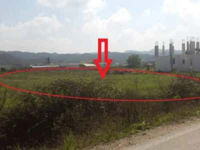 Tirane, Shitet Toke Are 4.000 m², Cmimi Referues 16.000.000 Leke (Marqinet)