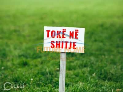 Shitet, Tokë, Petrele , Tiranë