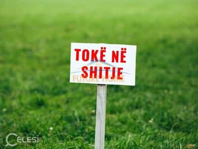 Shitet, Tokë, Borsh.