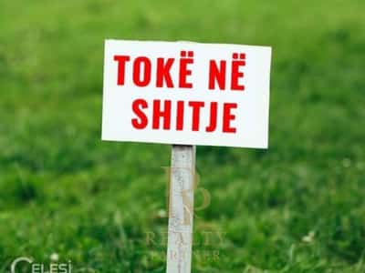 SHITET TOKE NE LUNDER