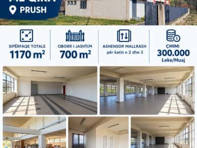 Tirane, jepet me qera ambjent biznesi Kati 3, 1.870 m² 3.000 € (prush)