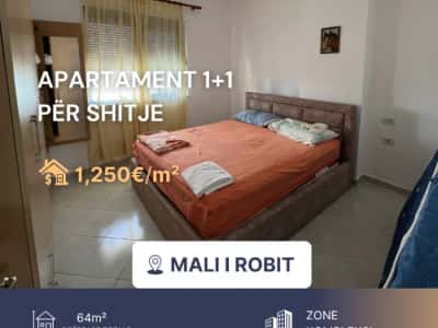 Mali Robit, shitet apartament 1+1 Kati 4, 64 m² 80 000 € (300 m nga deti)