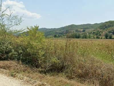Tokë për Shitje në Pezë - Helmes, Tiranë - 540000€ | 6000 m²