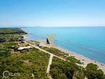 JEPET TOKE 54.000 M2 ME 23 % NE DARZEZ, FIER